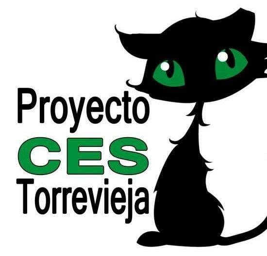 Asociación Proyecto CES Gatos Torrevieja