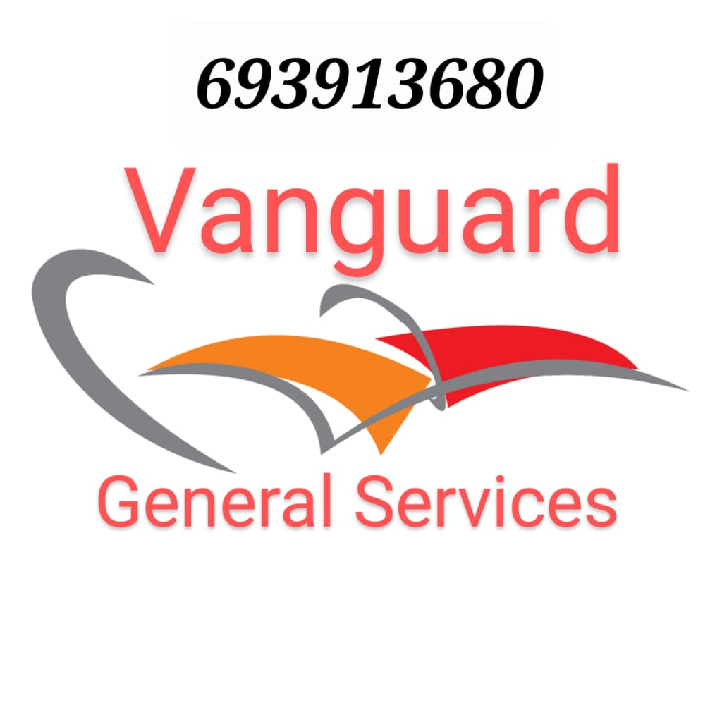 Francisco Javier Alcocer Garcia